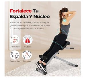 Silla de Hiperextensión / Roman Chair Sunny Health & Fitness